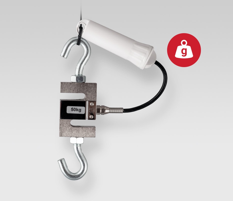 Weight sensor Advanced Measuring Instruments B.V.