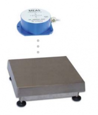 ISILX- RVS weegschaal IP68 met hoekmeter, Ideaal voor trailers,