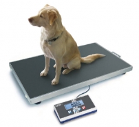 EOS- Extra large veterinary wheeled plate scale