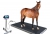 Balance pour chevaux AMI1 1500KG