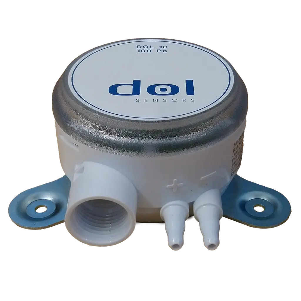 DOL_18.webp