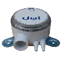 DOL_18.webp