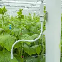 ir planttemperatuur sensor vb.webp