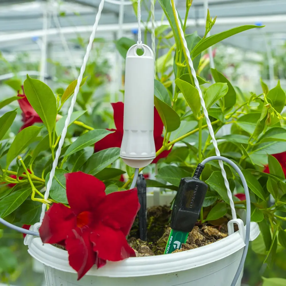 soil moisture sensor 3.webp