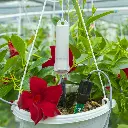 soil moisture sensor 3.webp