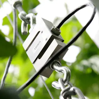 weight sensor vb2.webp