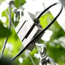 weight sensor vb2.webp