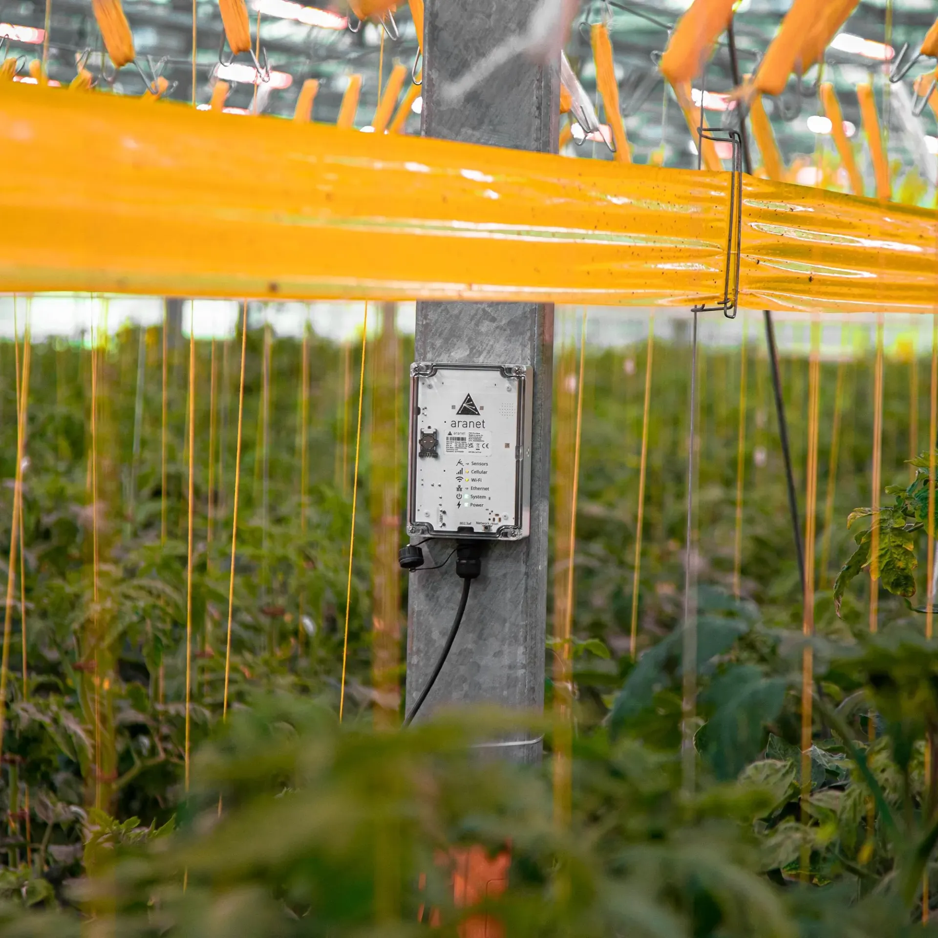 [KIT-HORT-ONDERZ] Aranet Horticulture onderzoekskit